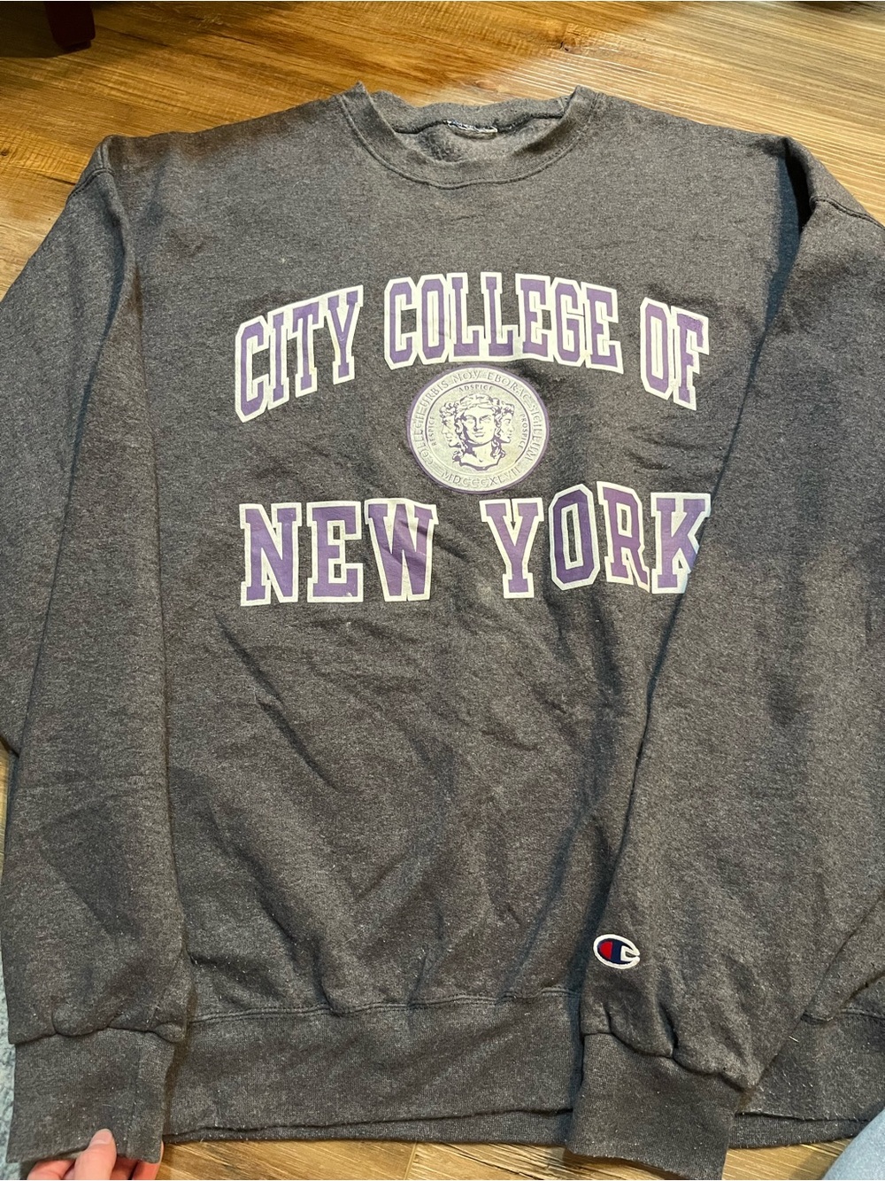 Champion Dark Gray 'City College of New York' Crewneck with Purple & White Print